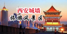正在播放美女大骚逼中国陕西-西安城墙旅游风景区
