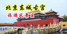 一级破处操逼大片中国北京-东城古宫旅游风景区